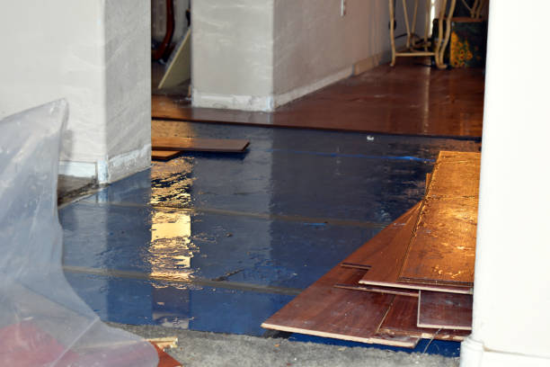Professional Sewage Cleanup technician working in Peoria, IL